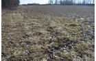 Property photo 4 - East Allen County - 55 Acre Land Auction